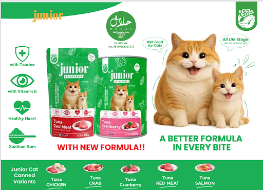 junior kini hadir di alfamidi