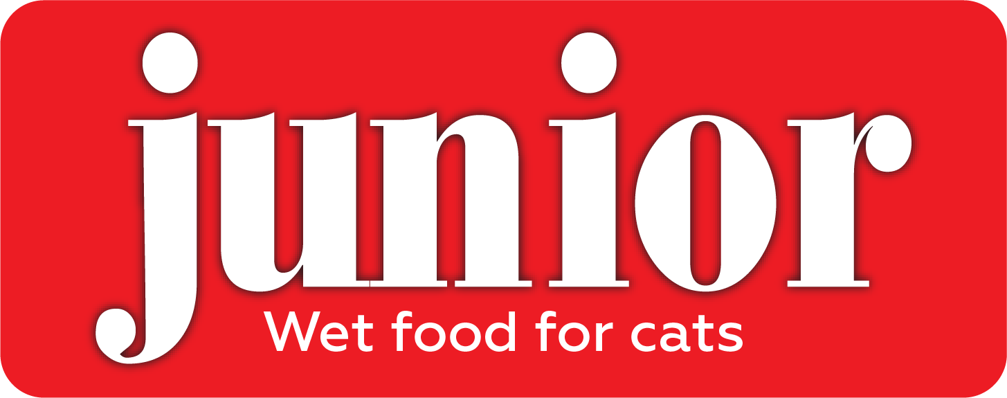 Juniro brand logo