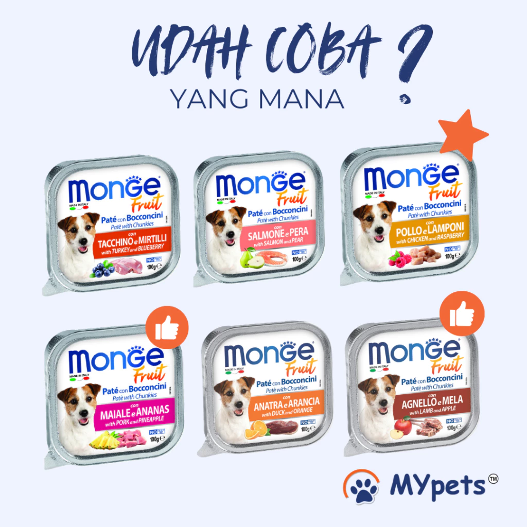 MONGE FRUIT DOG WET FOOD 100 GRAM