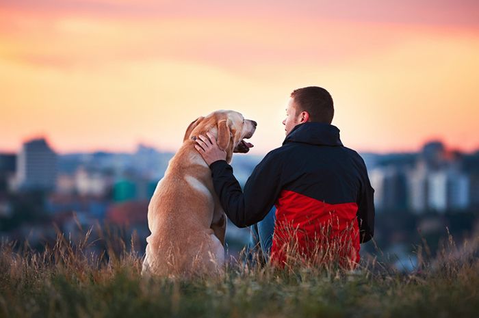 Mengapa Anjing Disebut "Man’s Best Friend"? Inilah Alasannya